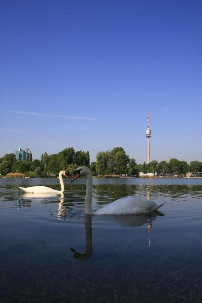 Ajo Apartments - Alte Donau Terrace Studio - Self-Check-In Viena Exterior foto